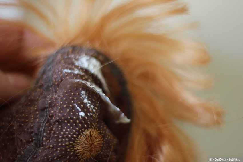 Annalies от Zwergnase — Куклы Zwergnase (Цвергназе/Цверги): фото