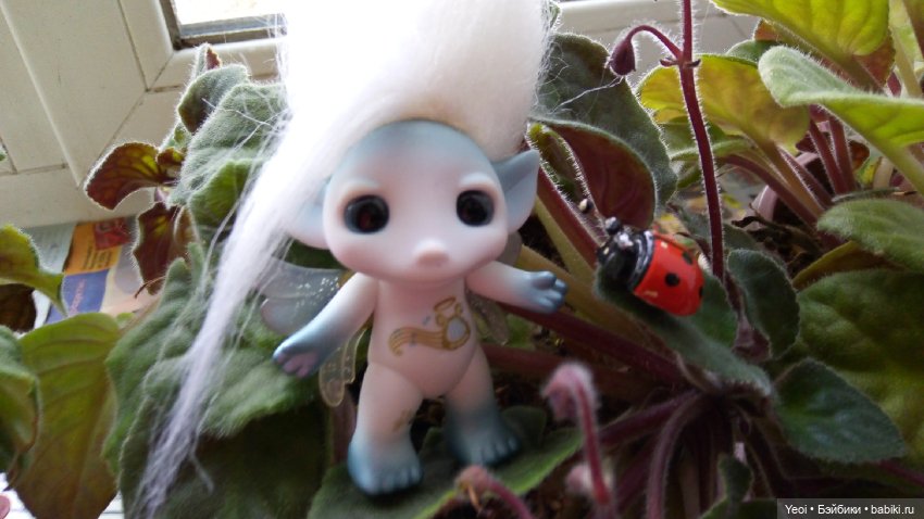 Зельфы, много разных фото. Zelfs