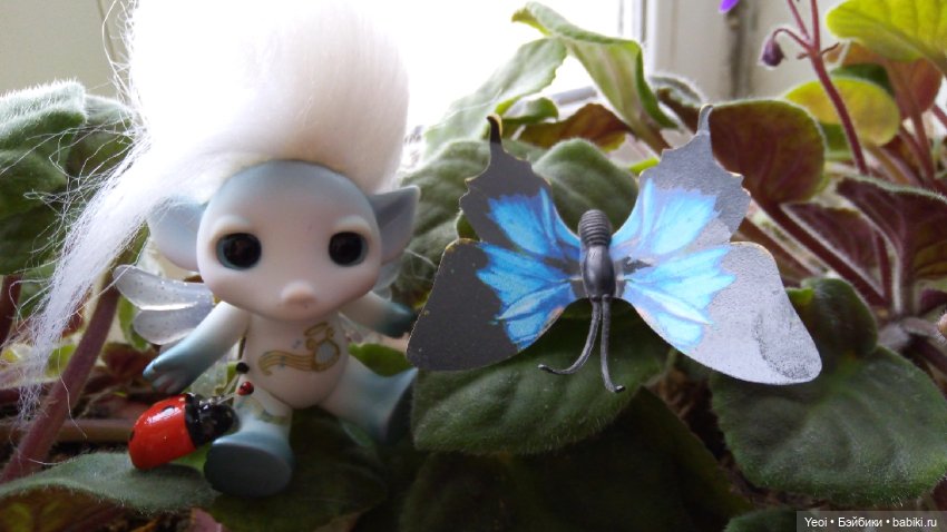 Зельфы, много разных фото. Zelfs