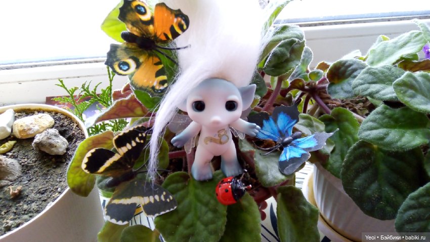 Зельфы, много разных фото. Zelfs