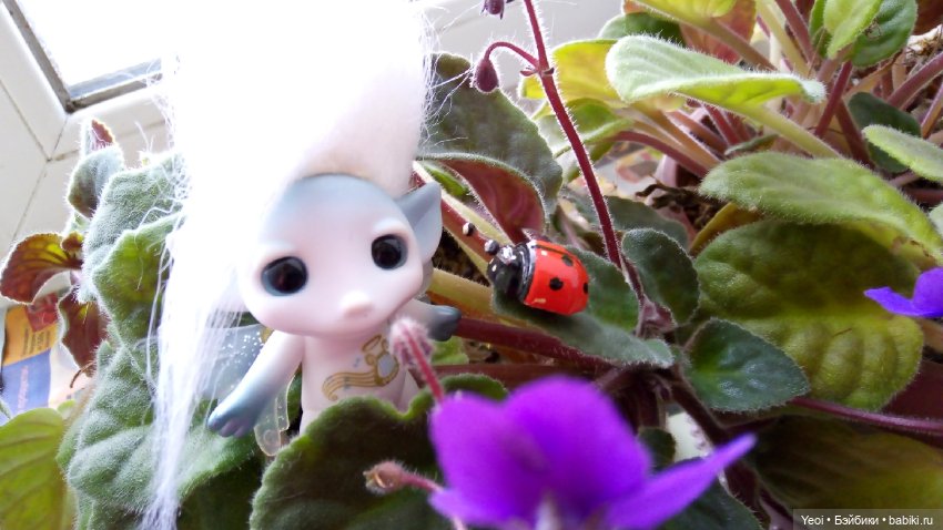 Зельфы, много разных фото. Zelfs