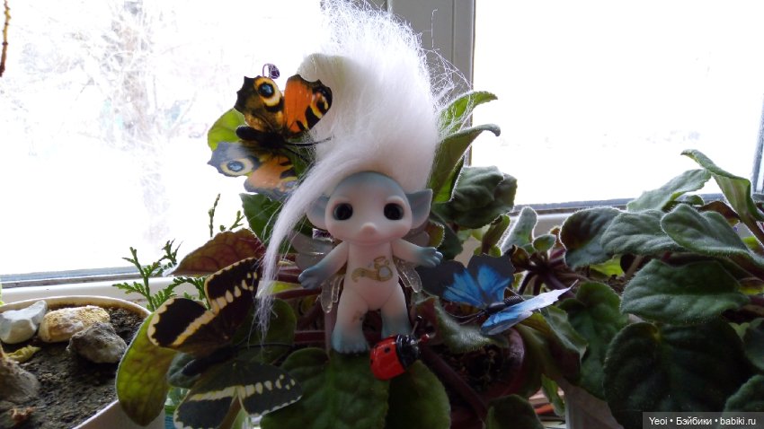 Зельфы, много разных фото. Zelfs