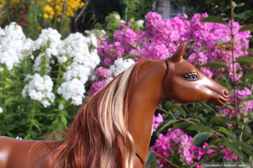 Лукас и механический конь