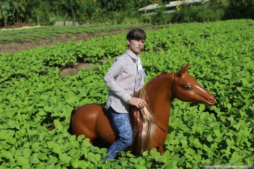 Лукас и механический конь (фото 7)