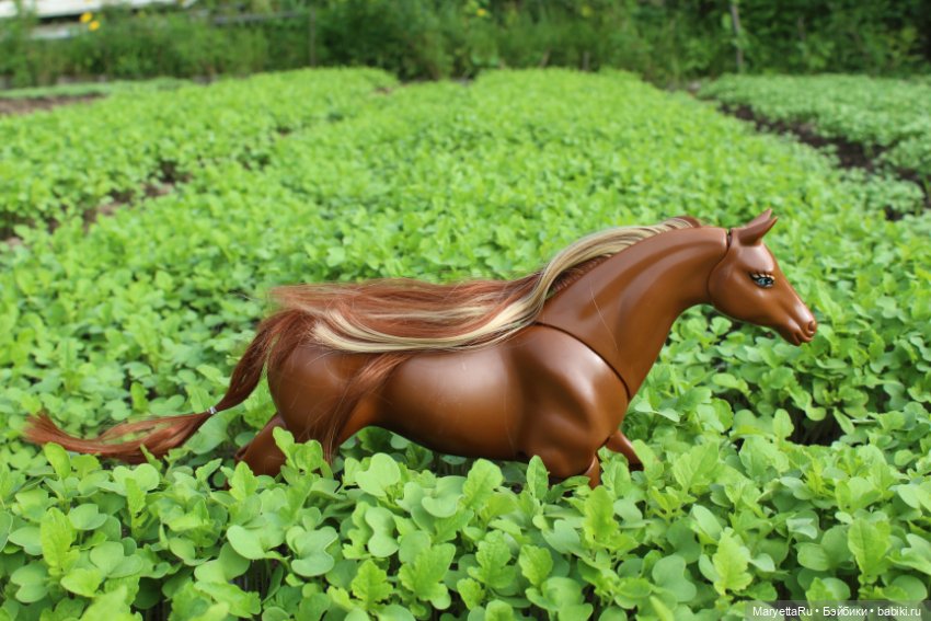 Лукас и механический конь (фото 4)