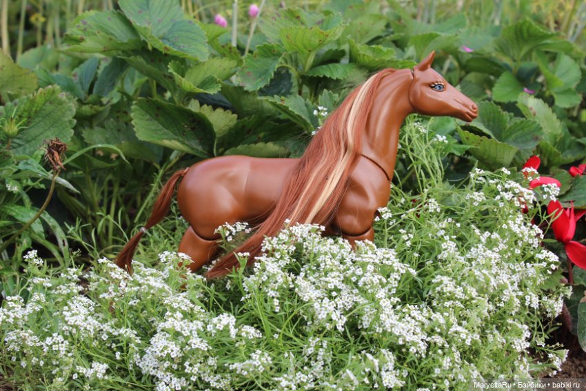 Лукас и механический конь