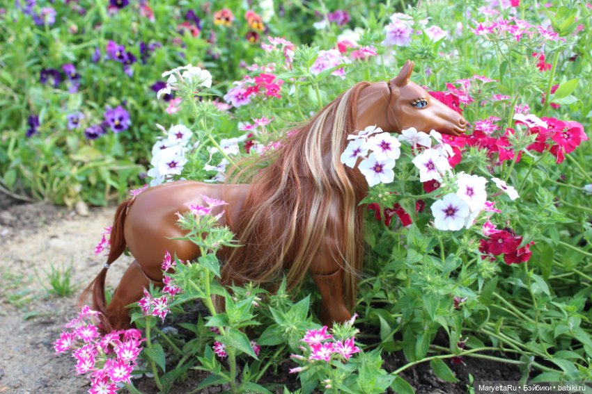 Лукас и механический конь