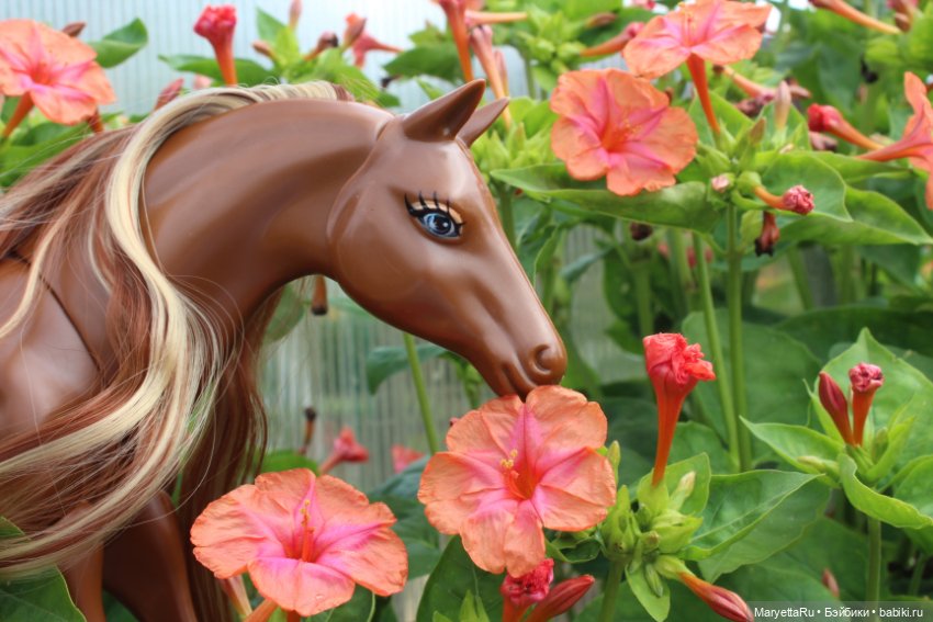 Лукас и механический конь