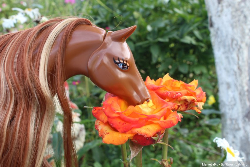 Лукас и механический конь