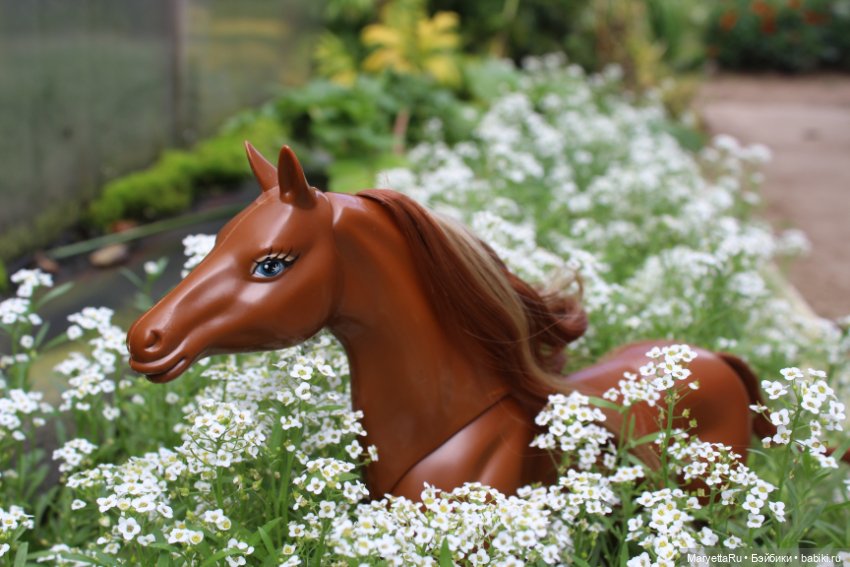 Лукас и механический конь