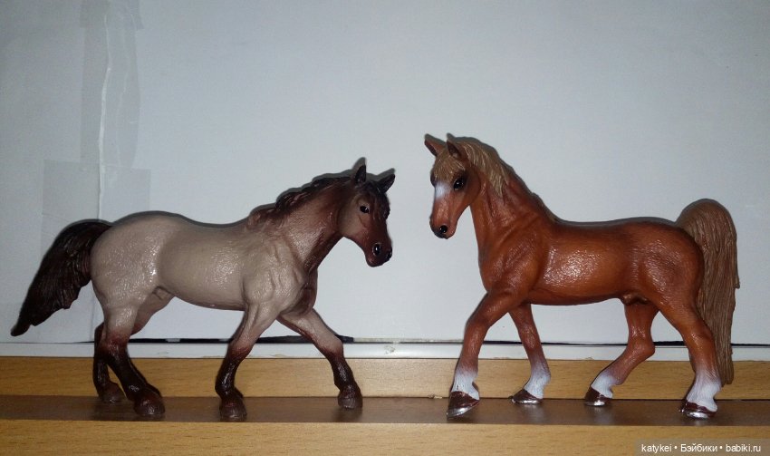 Весна на конюшне — Болталка и разговоры обо всем: жизнь (фото 8)