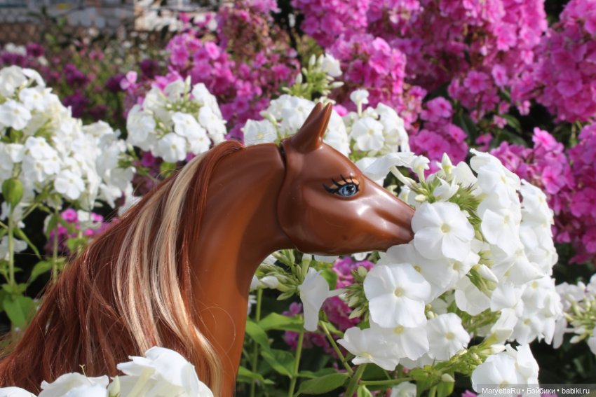 Лукас и механический конь