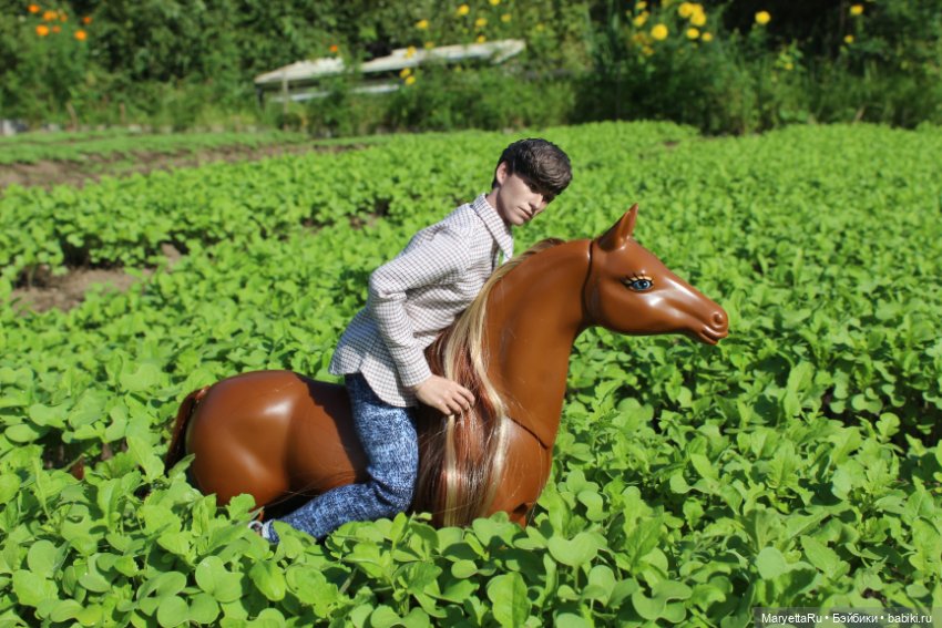 Лукас и механический конь (фото 6)