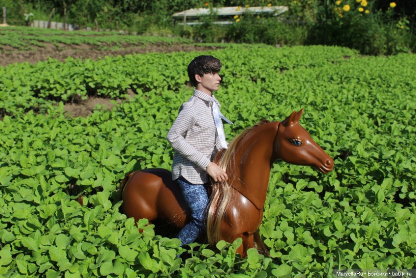 Лукас и механический конь (фото 8)