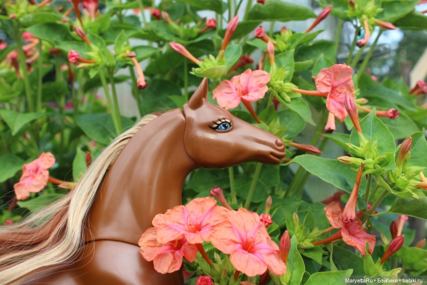 Лукас и механический конь