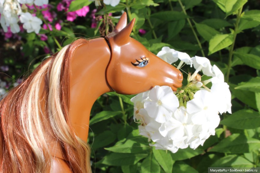 Лукас и механический конь