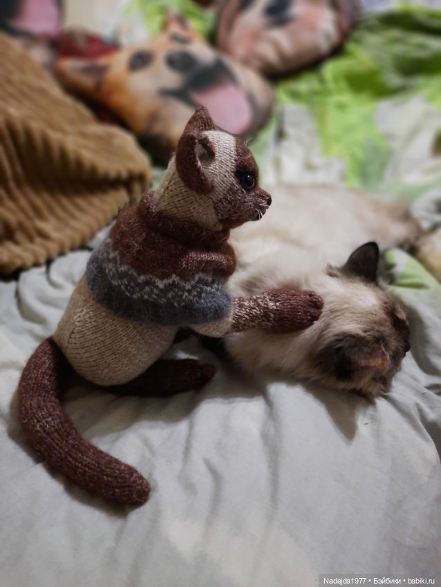 Сиамская кошка по описанию Клэр Гарланд (фото 7)