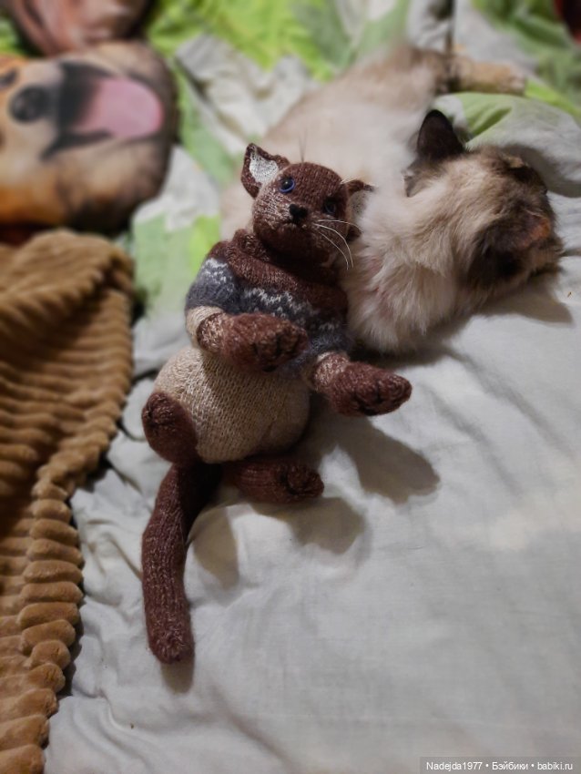 Сиамская кошка по описанию Клэр Гарланд