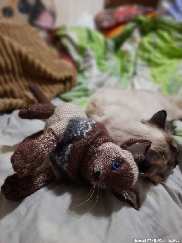 Сиамская кошка по описанию Клэр Гарланд (фото 5)