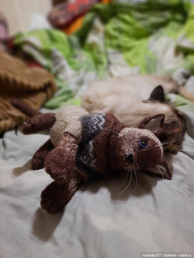 Сиамская кошка по описанию Клэр Гарланд (фото 4)