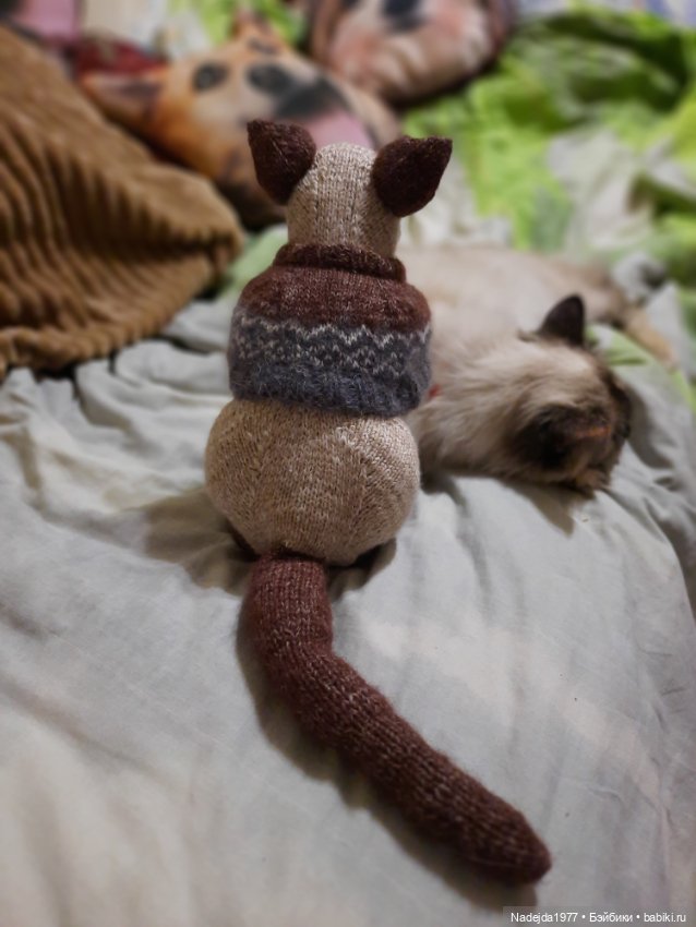 Сиамская кошка по описанию Клэр Гарланд (фото 9)