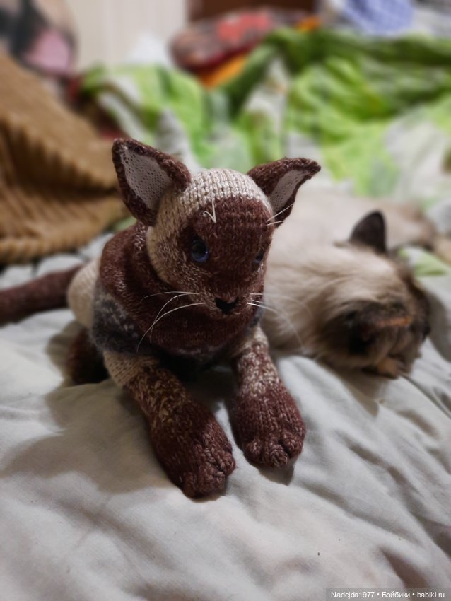 Сиамская кошка по описанию Клэр Гарланд (фото 3)