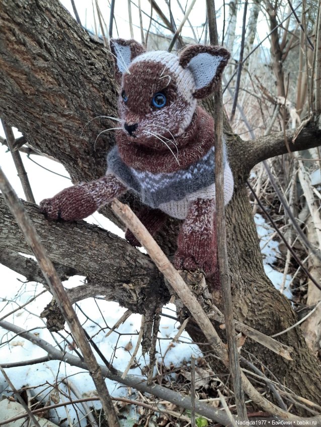 Сиамская кошка по описанию Клэр Гарланд