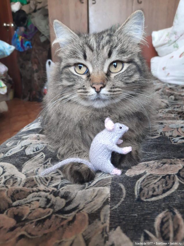 Новые котики по МК Ольги Бессогоновой и мышь по описанию Клэр Гарланд