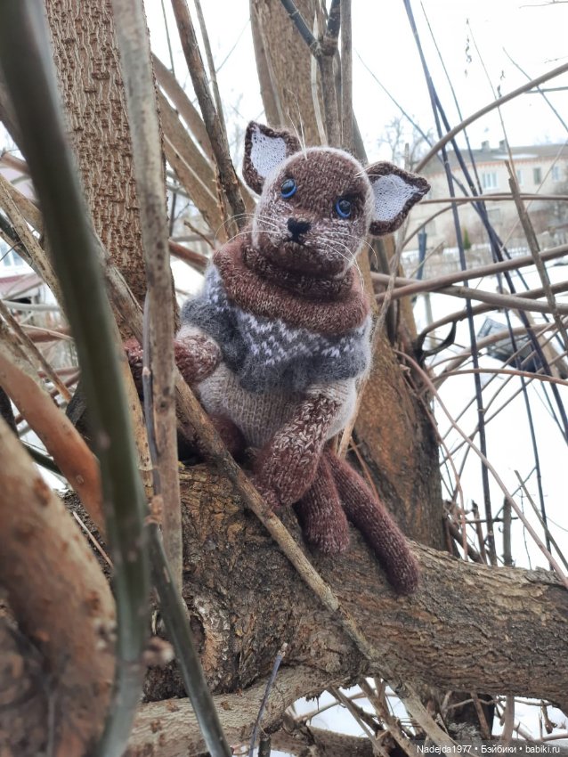 Сиамская кошка по описанию Клэр Гарланд