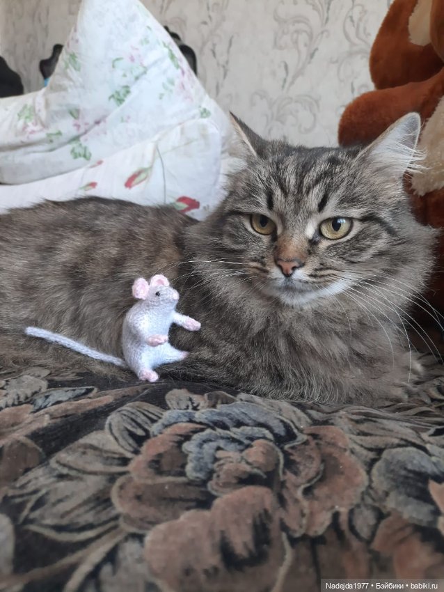 Новые котики по МК Ольги Бессогоновой и мышь по описанию Клэр Гарланд