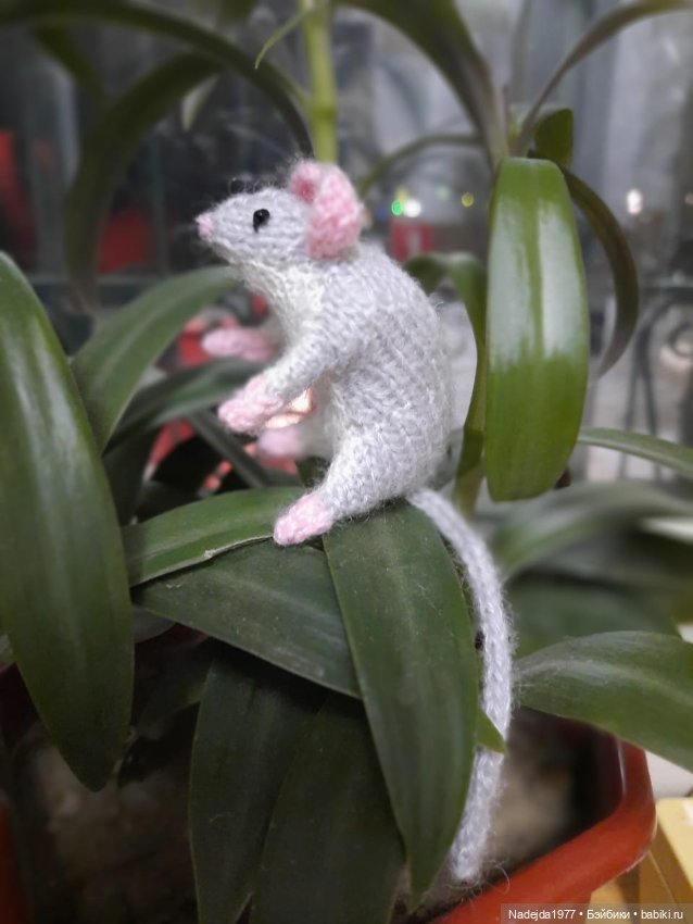 Новые котики по МК Ольги Бессогоновой и мышь по описанию Клэр Гарланд