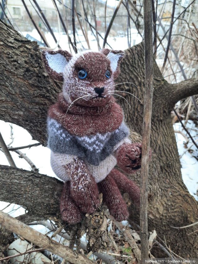 Сиамская кошка по описанию Клэр Гарланд