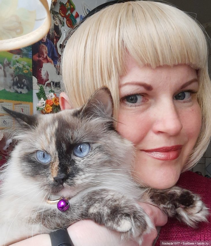 Сиамская кошка по описанию Клэр Гарланд (фото 10)