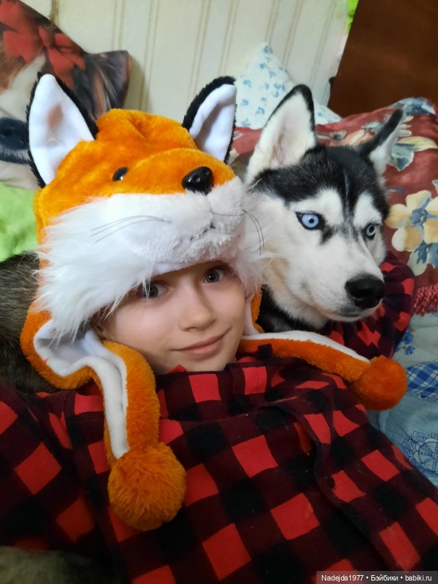 Сиамская кошка по описанию Клэр Гарланд (фото 8)