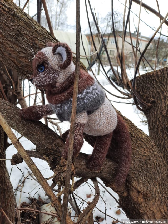 Сиамская кошка по описанию Клэр Гарланд