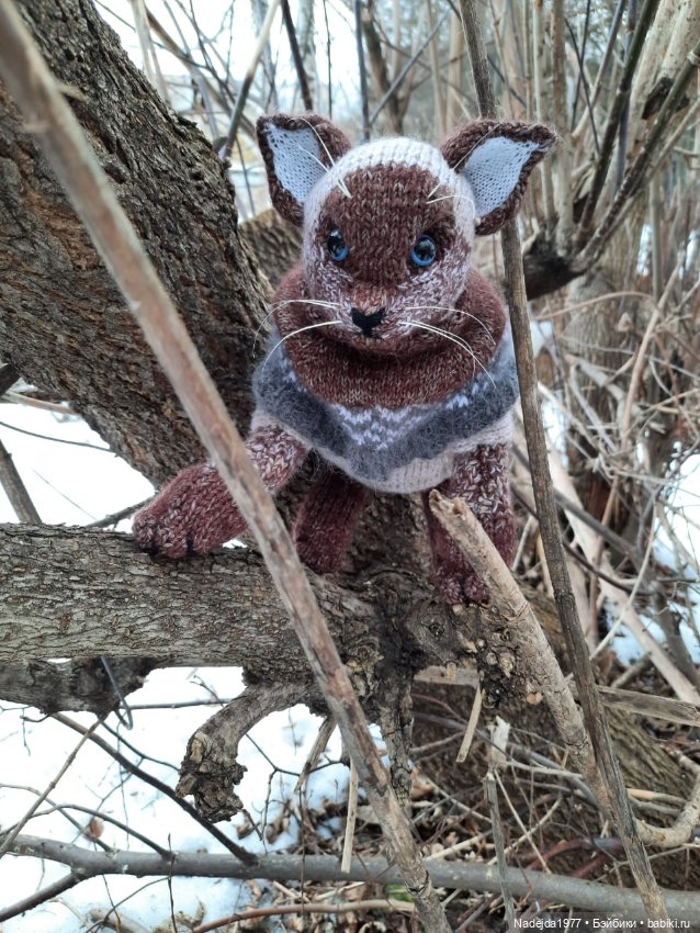 Сиамская кошка по описанию Клэр Гарланд