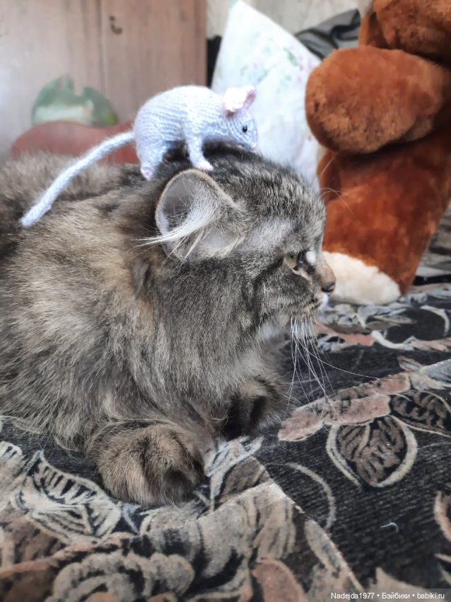 Новые котики по МК Ольги Бессогоновой и мышь по описанию Клэр Гарланд