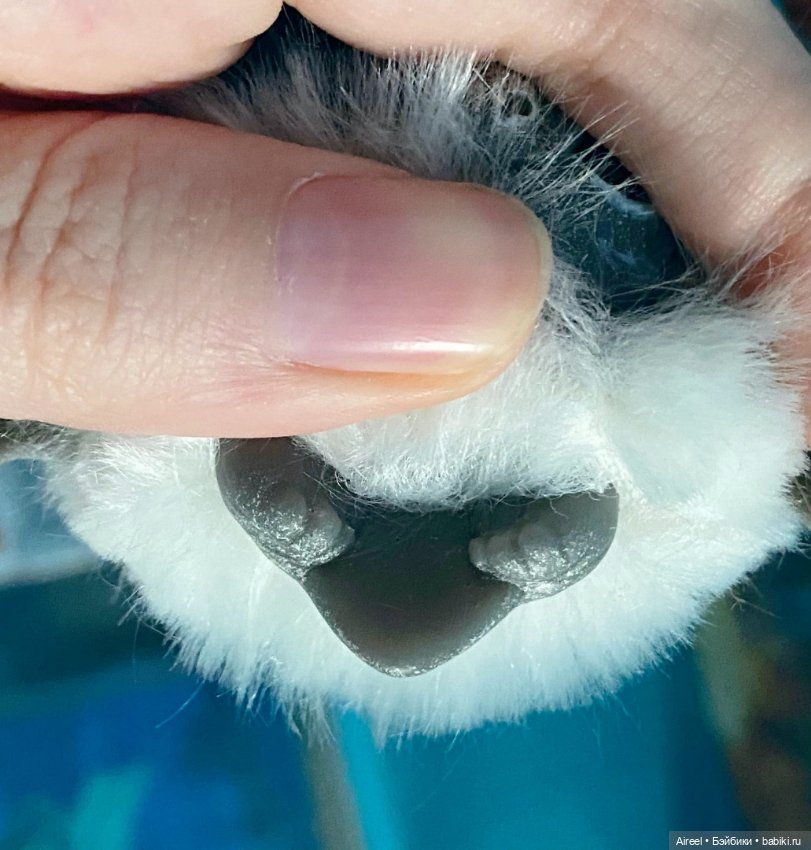 Моя мини коллекция авторских летучих мышек от Puzgles Loft и LapkaArts (фото 5)