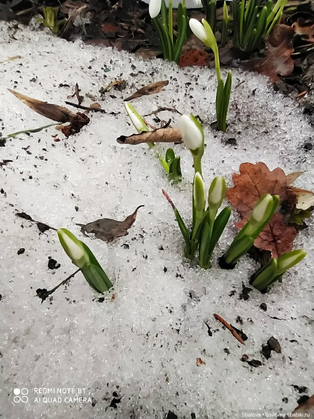 Новое пальтишко — Редкие антикварные куклы и реплики: воск (фото 9)