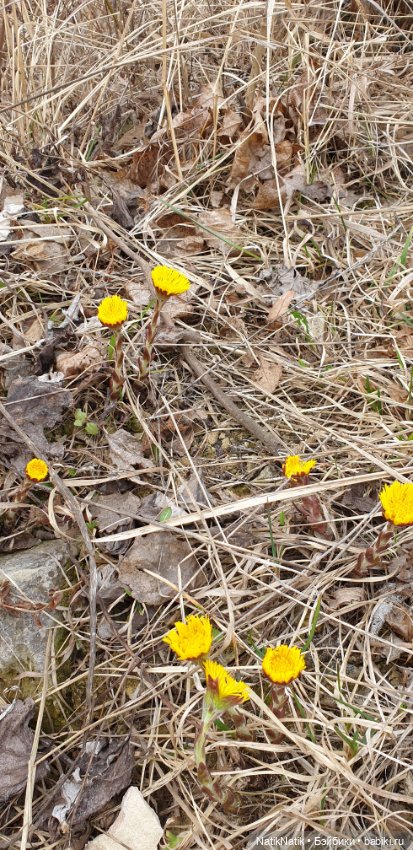 Ура! Весна! Прогулка — Куклы Gotz (Готц): Ханна