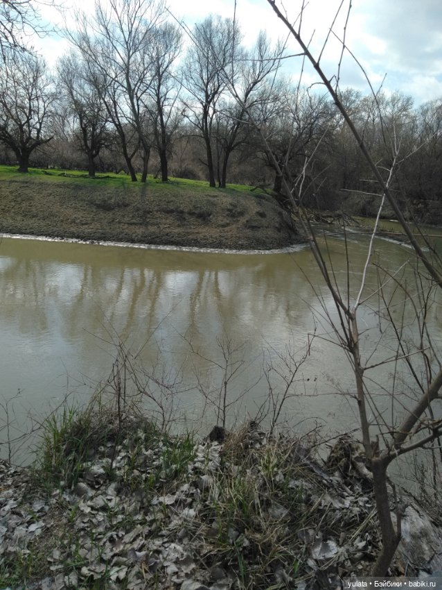 Весенняя вылазка в лес — Куклы Dolly Hugs Crew (DHC): BJD (БЖД) (фото 3)