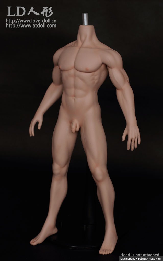 Куклы LDDOLL — Куклы Phicen (TBLeague/Фицен): бесшовные тела