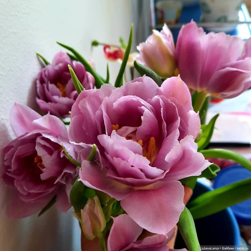 Модный показ по нашему — Куклы Rosemarie Anna Muller (Мюллер): Вихтели (Wichtel)