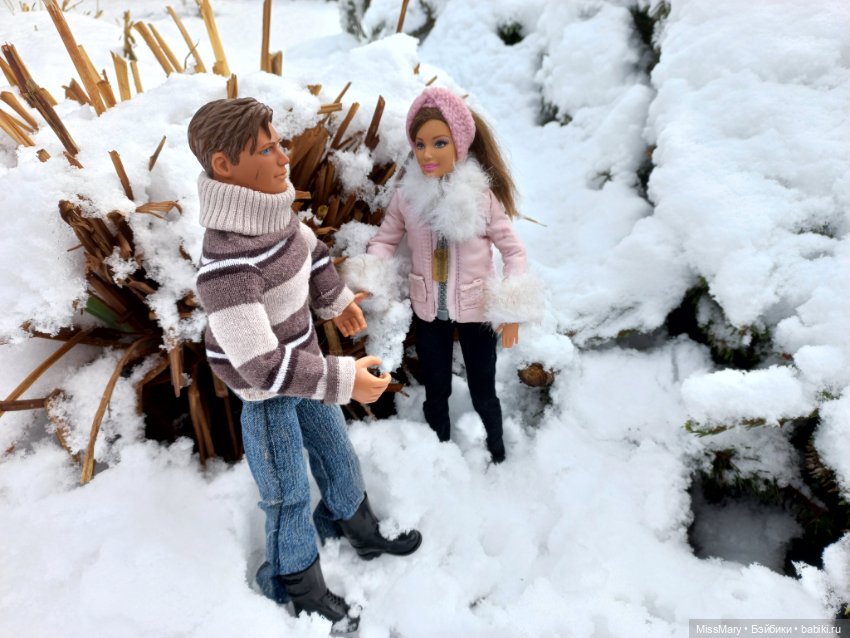 Кто зиму вдруг захотел вернуть