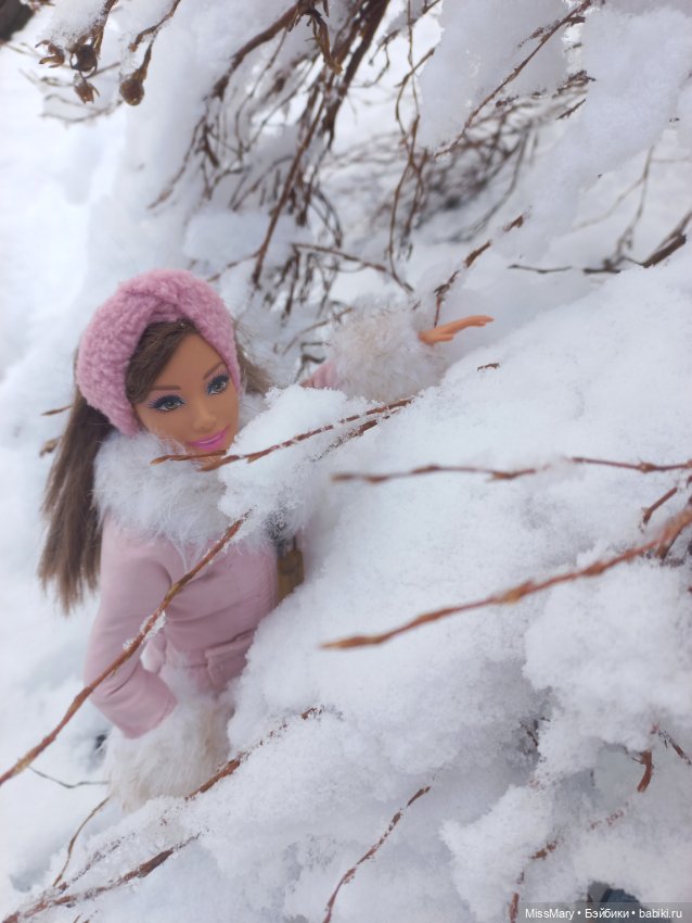 Кто зиму вдруг захотел вернуть