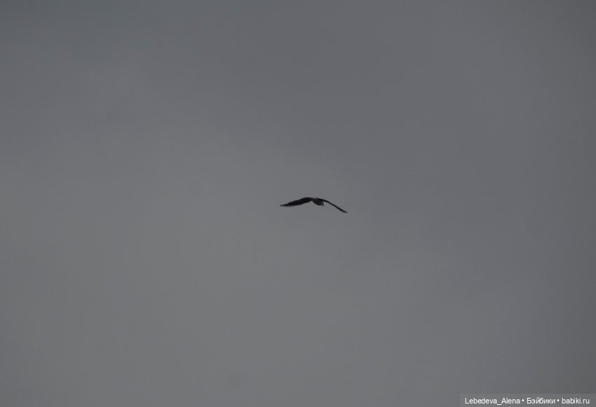 Когда за окном дождь — Куклы La Legende De Temps (LLT): BJD (БЖД) (фото 5)