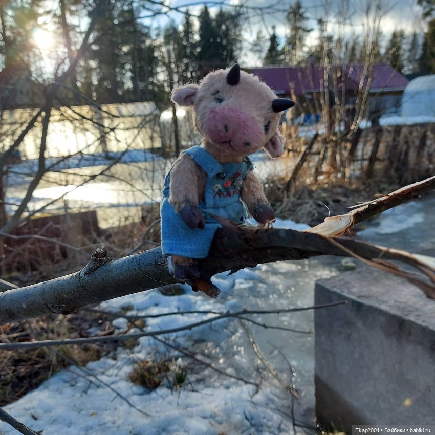 Авторские мишки Тедди и друзья: фото (фото 8)