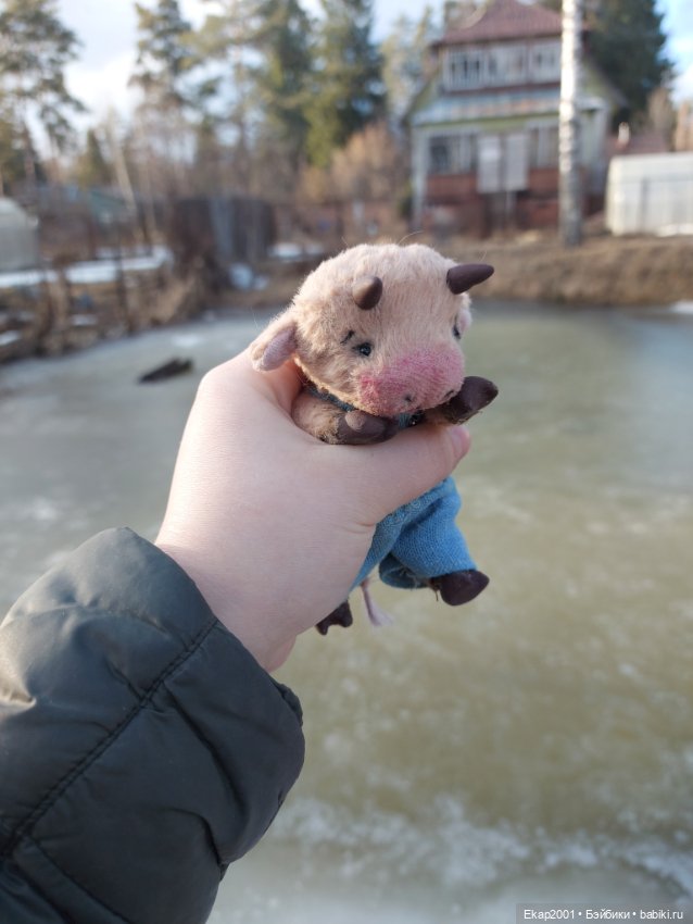 Авторские мишки Тедди и друзья: фото