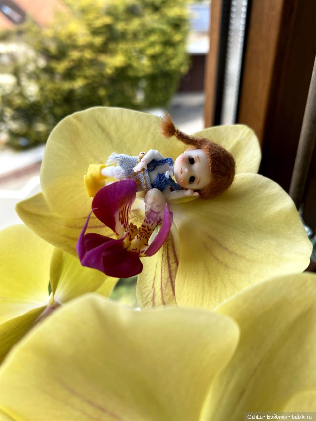 Дюймовочка — Разные куклы BJD (БЖД): редкие бренды (фото 3)