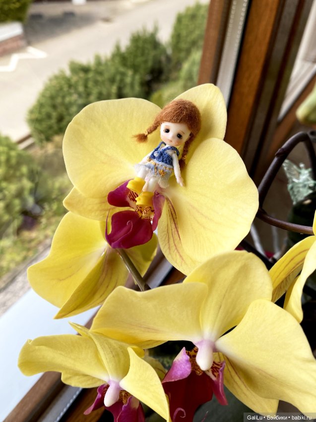 Дюймовочка — Разные куклы BJD (БЖД): редкие бренды